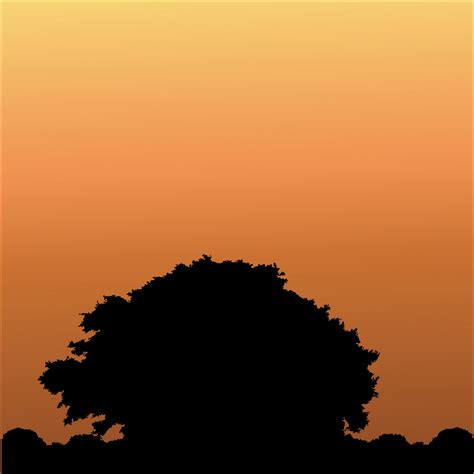 Tree At Sunset Silhouette Free Stock Photo - Public Domain Pictures