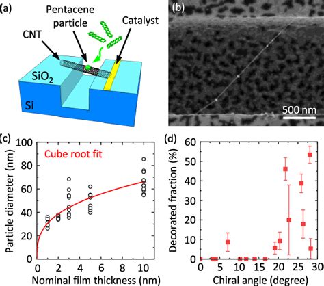 (a) Schematic showing pentacene adsorption onto an airsuspended CNT on ...