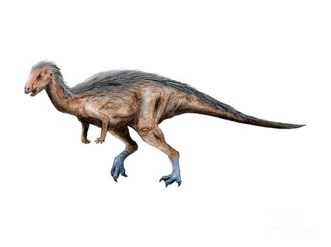 Dryosaurus Dinosaur by Nobumichi Tamura | Animal tails, Animals, Paleontology