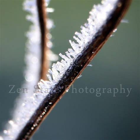 Hoar Frost Photograph. Nature Photography Print. Macro | Etsy