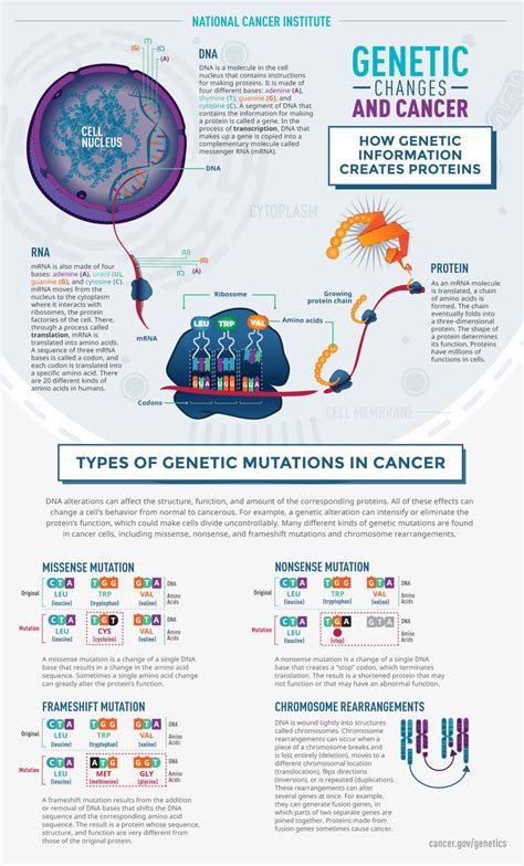 CRISPR is Revolutionizing Cancer Research