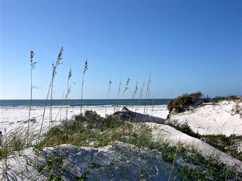 At Bon Secour National Wildlife Refuge in Gulf Shores. Photo courtesy ...