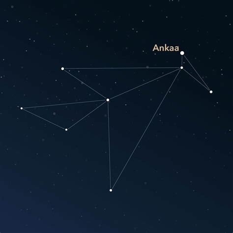 Constellation Phoenix | Interesting Information