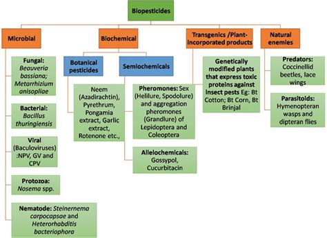 1 Classification of biopesticides | Download Scientific Diagram