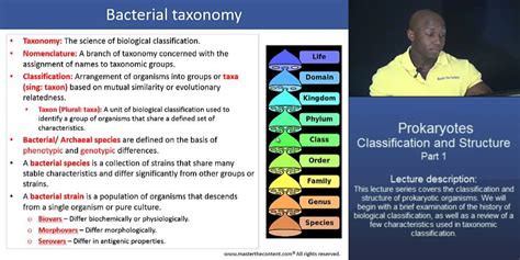 MCAT®: Prokaryotes: Classification and Structure - Part 1 – Bacterial ...