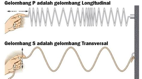 Perbedaan Gelombang Transversal dan Gelombang Longitudinal, Materi ...