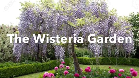 The Wisteria Garden - YouTube