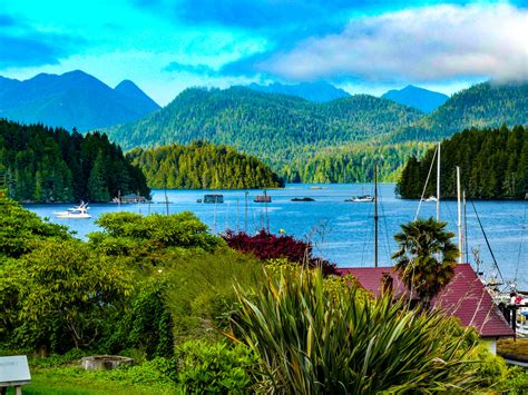 TOP 5 THINGS TO DO IN TOFINO, BRITISH COLUMBIA, IN THE SUMMER ...