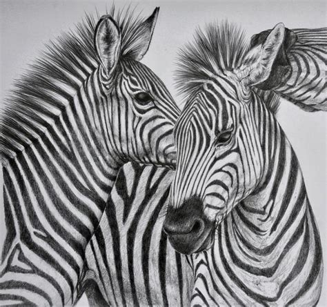 40 Beautiful and Realistic Animal Sketches For Your Inspiration | Dessin, Art tumblr, Animaux