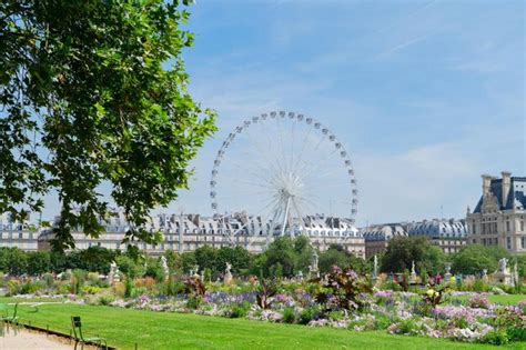 Premium Photo | Summer holidays in Paris Tuileries gardens with ferry ...