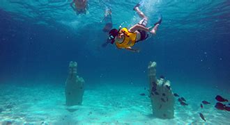 Cancun Underwater museum snorkeling tour | Total Snorkel Cancun