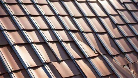 Metal Roofs vs. Shingles: Do Metal Roofs Leak More? A Comprehensive ...