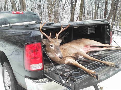 Whitetail Under Heavy-Duty Truck Bed Cover on Ram Pickup | Flickr
