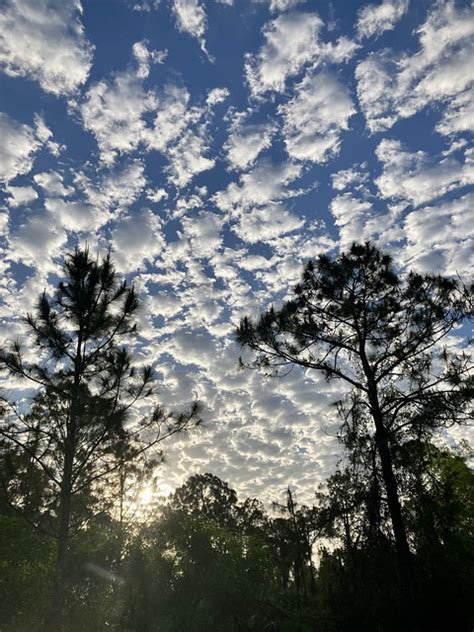 Florida Morning Clouds - Free photo on Pixabay - Pixabay