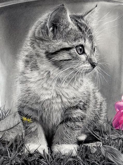 Hyperrealistic drawings by Abraham Falcon Velazquez | Cat art, Pencil drawings of animals ...