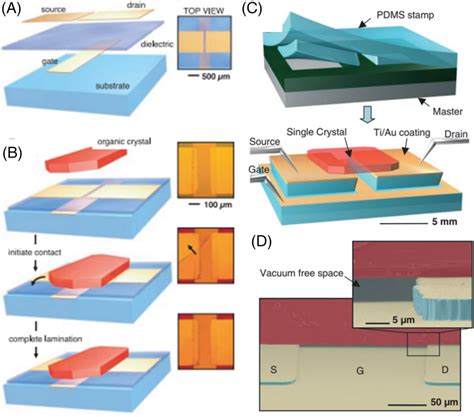 (A) The schematic view of a transistor stamp with gate, dielectric, and... | Download Scientific ...