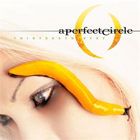 A Perfect Circle - Thirteenth Step Lyrics and Tracklist | Genius