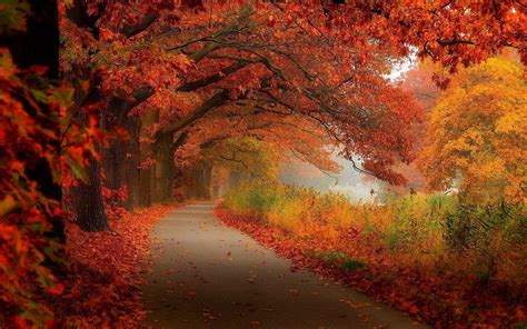 Autumn Aesthetic Laptop Wallpapers - Top Free Autumn Aesthetic Laptop ...