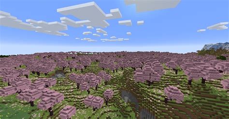 Minecraft Cherry Blossom: 8 Beautiful Seeds to Explore in 2023