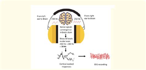 Formation of binaural beats | Download Scientific Diagram