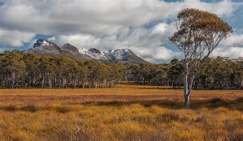 Why Should You Visit Tasmania A Place with Beauty Charm and Adventure