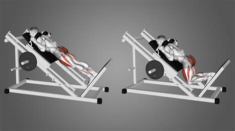 Reverse Hack Squat Machine: Benefits, Muscles Worked, and More - Inspire US