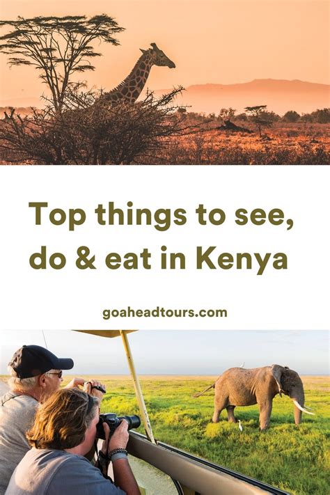 Kenya Travel Guide - Kenya Travel Tips | EF Go Ahead Tours