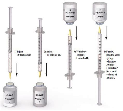 two types of insulin Types of insulin.