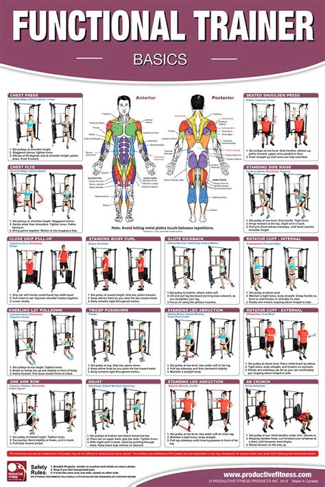 $19.95 - This poster features 16 basic exercises that can be done on a ...