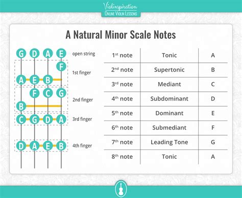 A Minor Scale on the Violin – Notes, Fingering, and Charts ...