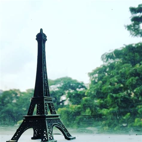 15+ Paris Souvenir Ideas to Remember Your Trip - WhyThisPlace.com