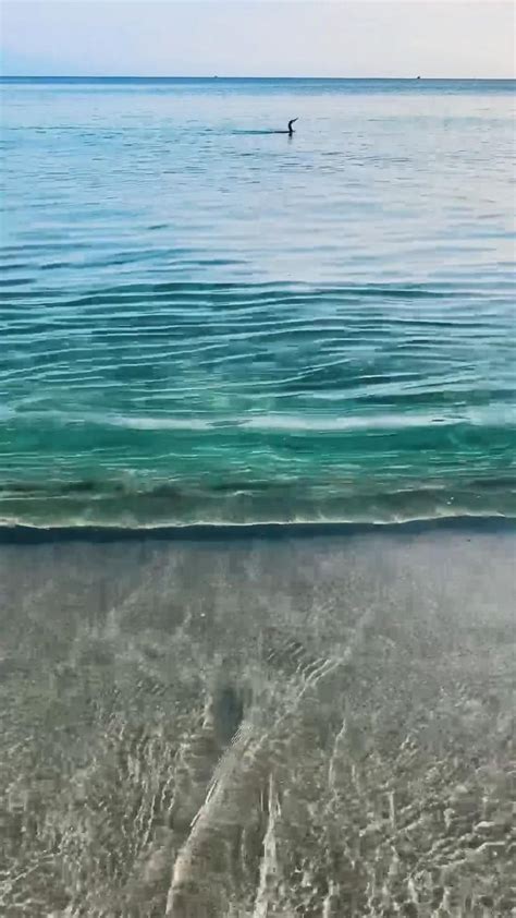 Healing ocean meditation [Video] | Ocean photography, Travel ...