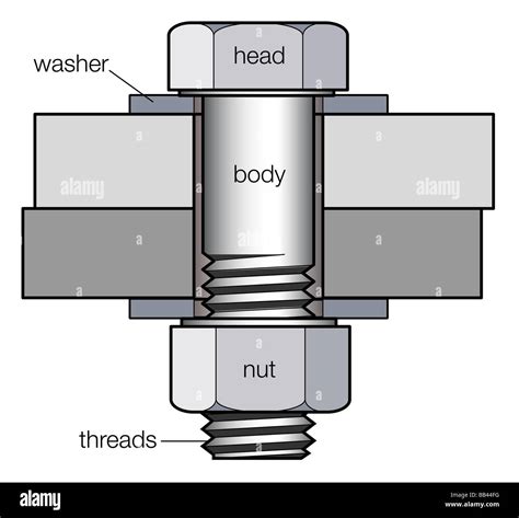 Nut And Bolt Diagram