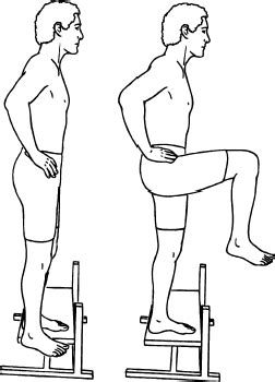 Hip Flexion (Standing)