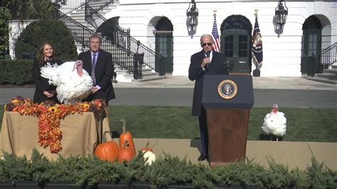 Biden pardons turkeys as part of annual tradition - Good Morning America