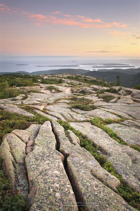 Cadillac Mountain, Acadia National Park - Alan Majchrowicz Photography