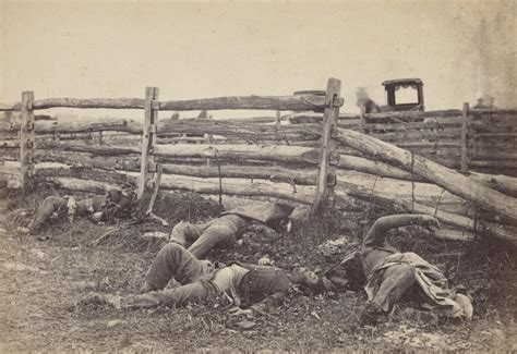 The Earliest Days of American Photography | Battle of antietam, Civil war confederate, Civil war ...