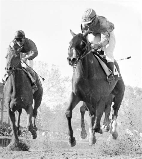 The death of Northern Dancer, 'Canada's most famous racehorse' | CBC