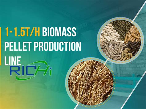 0.3-90T/H Turn-key Biomass Pellet Plant With Customized Design