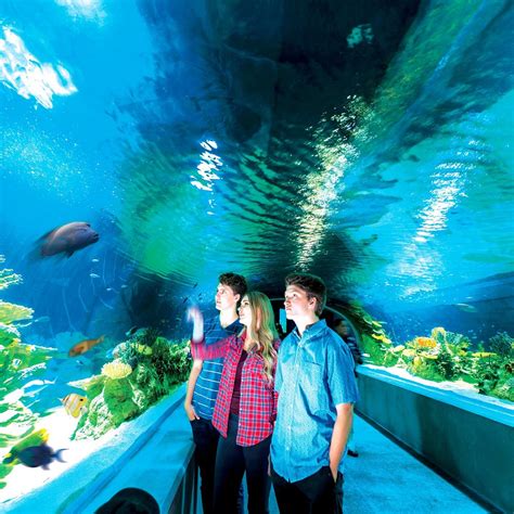 ODYSEA AQUARIUM (Scottsdale) - 2022 What to Know BEFORE You Go