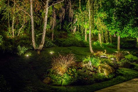 Low Light Outdoor Plants - California Outdoor Lighting