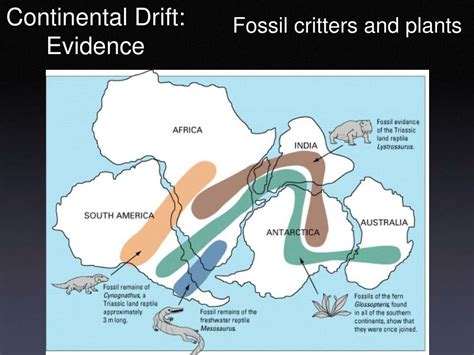 PPT - Continental Drift- The Theory PowerPoint Presentation, free ...