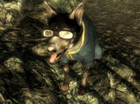 Can dogmeat die in fallout 3 - poocat