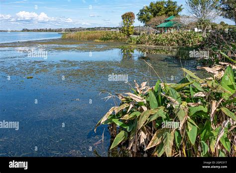 Newton park gazebo hi-res stock photography and images - Alamy