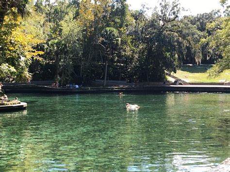 WEKIVA SPRINGS STATE PARK - Updated 2024 Campground Reviews (Apopka, FL)