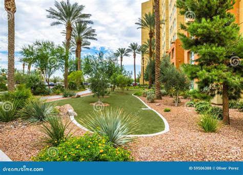 Hotel Resort Landscaping stock photo. Image of tree, vacation - 59506388