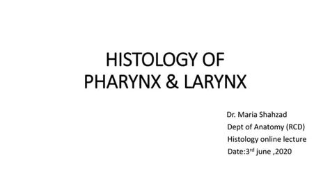 Histology of pharynx & larynx | PPT