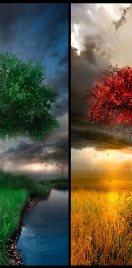 Seasons Change wallpaper by buckeyes123020 - Download on ZEDGE™ | 3fb3