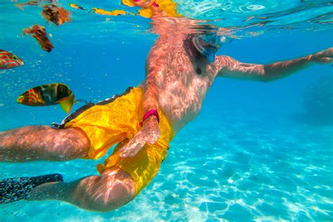 snorkeling in rarotonga felicity jean photography | Travel south, Travel photos, South pacific