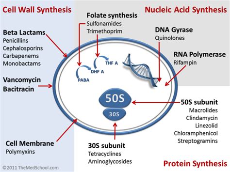 Antibiotic Resistance – The Lethal Threat for Next Generation | Antibiotics pharmacology ...